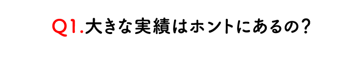 通販（EC)物流支援の大きな実績