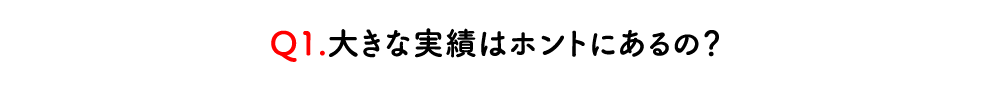 通販（EC)物流支援の大きな実績